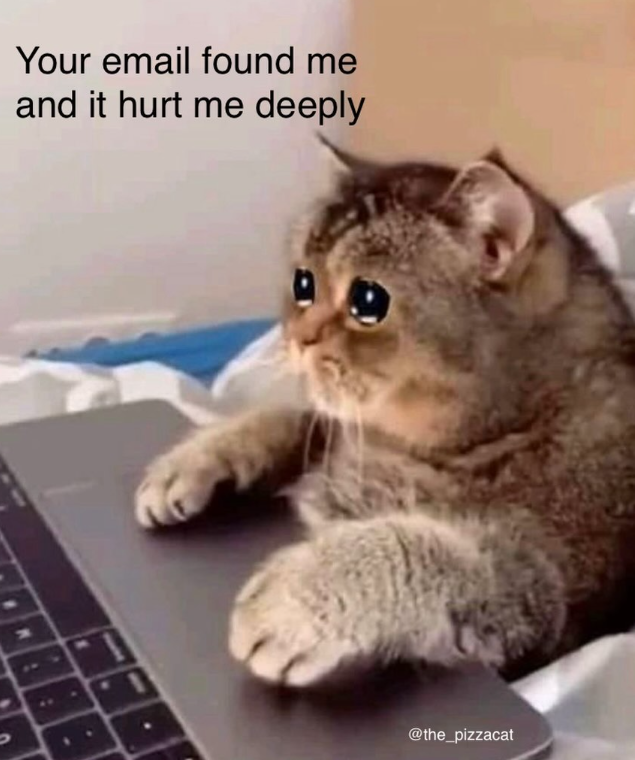 Your email found me and it hurt me deeply @the_pizzacat
