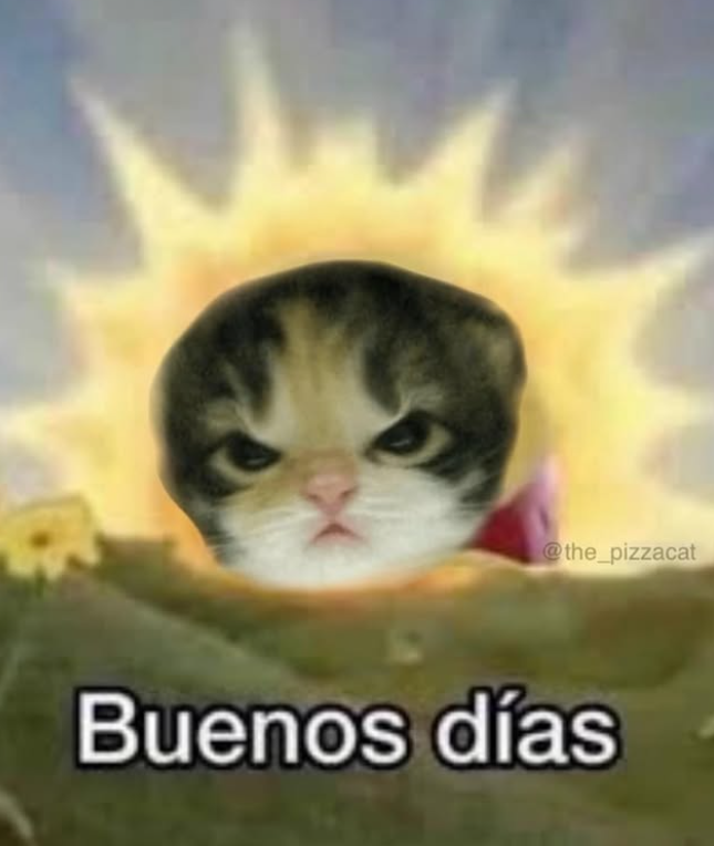 @the_pizzacat Buenos días