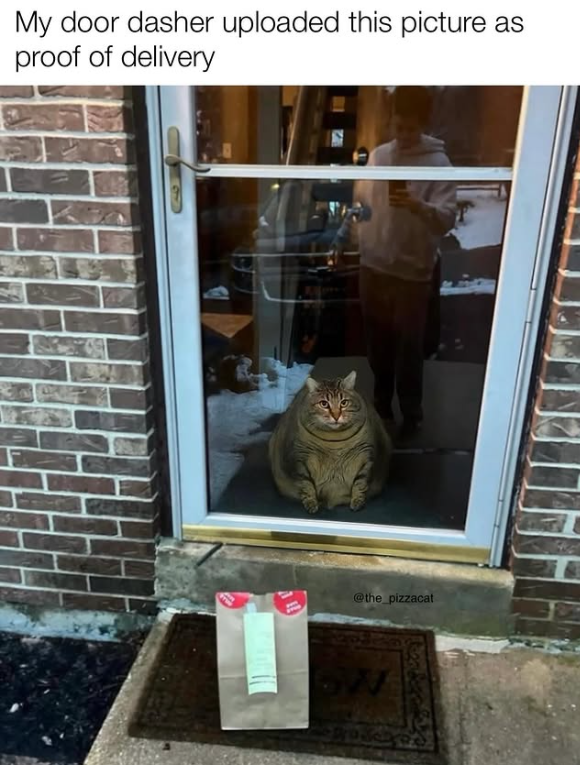 My door dasher uploaded this picture as proof of delivery @the_pizzacat GW