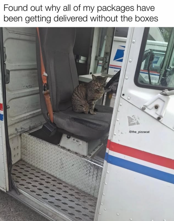 Found out why all of my packages have been getting delivered without the boxes www @the_pizzacat