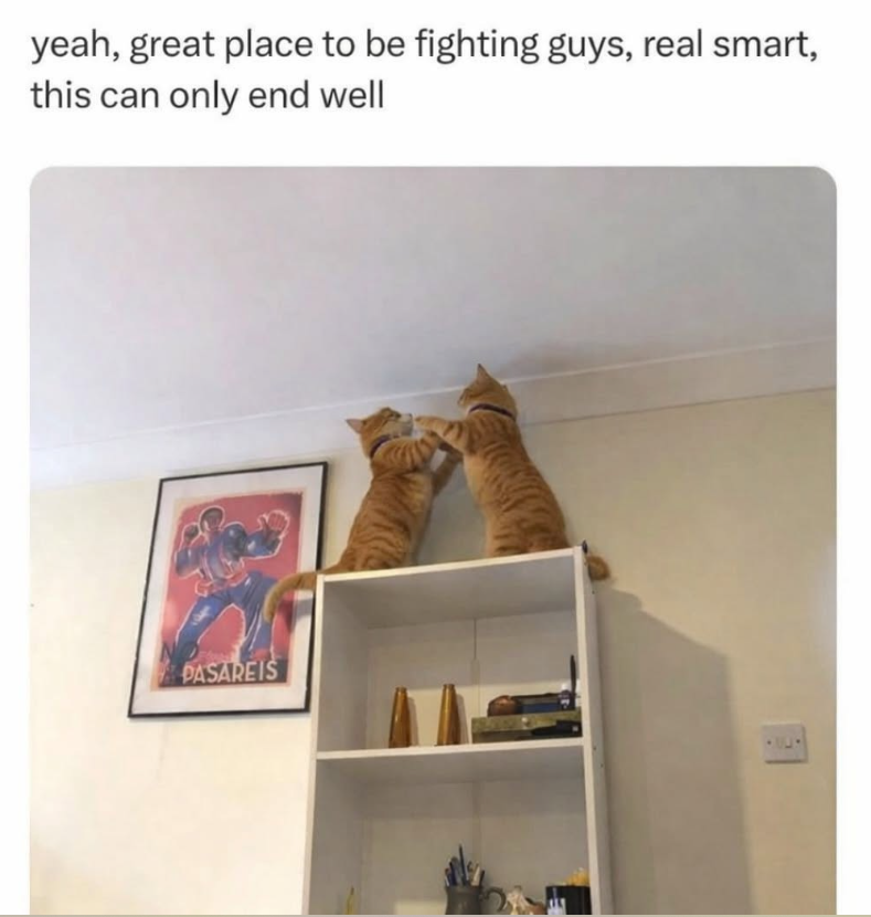 yeah, great place to be fighting guys, real smart, this can only end well NO PASAREIS