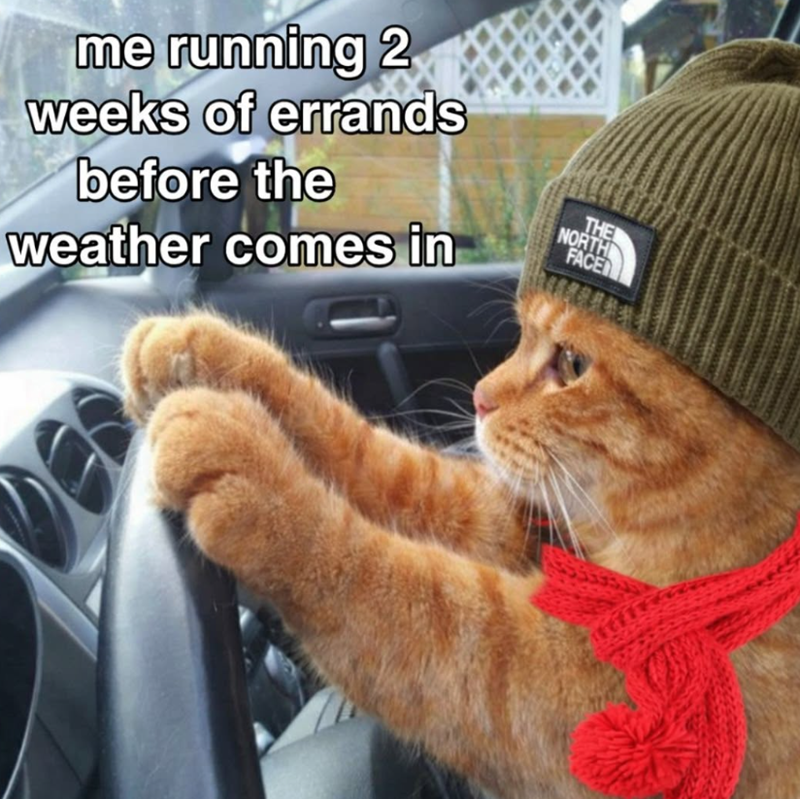 me running 2 weeks of errands before the weather comes in THE NORTH FACE