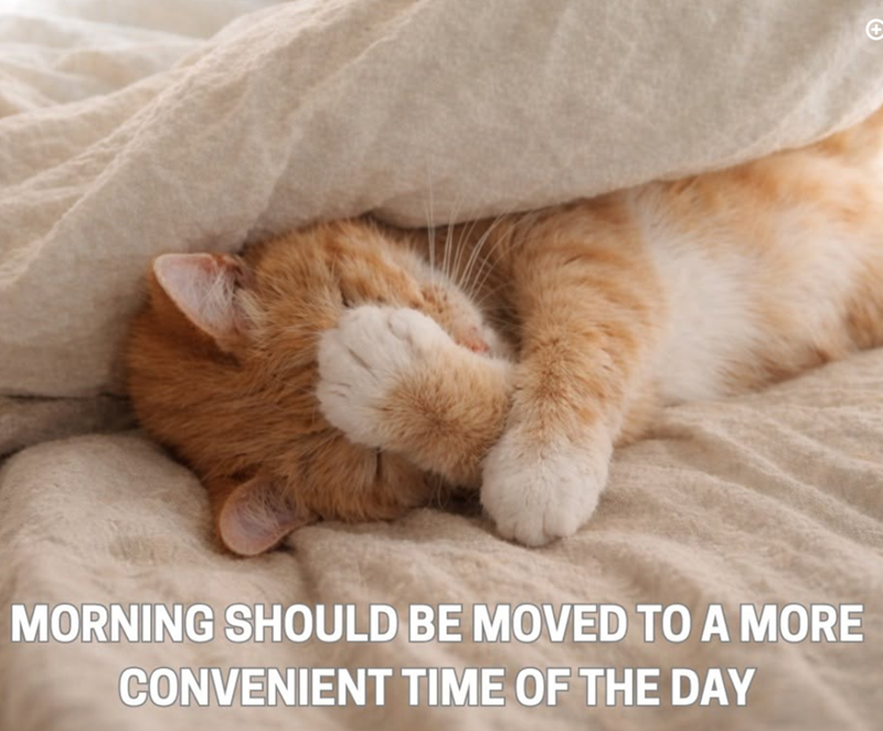 MORNING SHOULD BE MOVED TO A MORE CONVENIENT TIME OF THE DAY