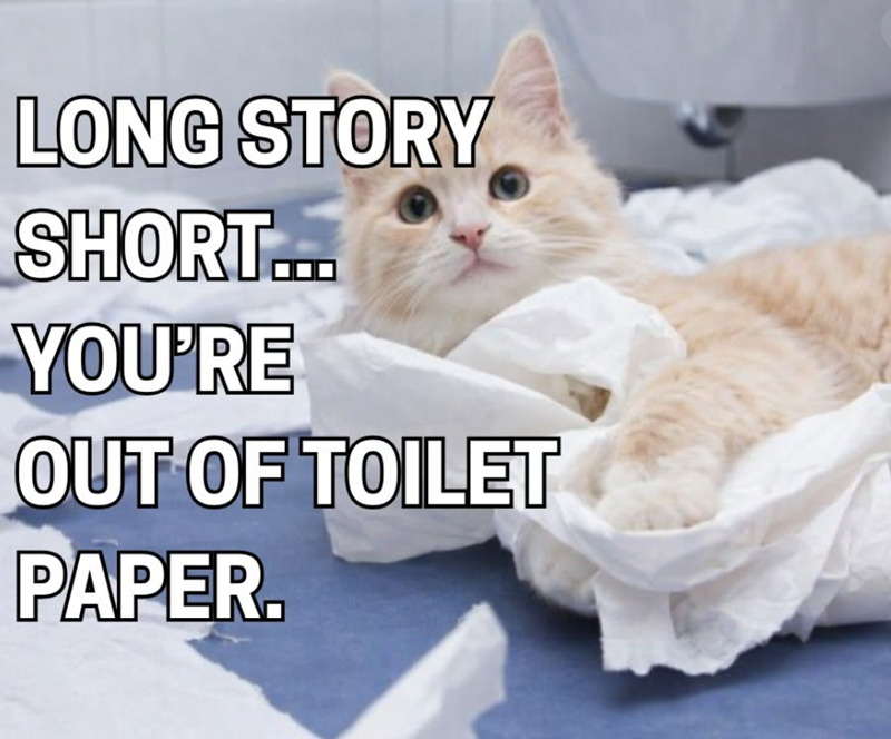 LONG STORY SHORT... YOU'RE OUT OF TOILET PAPER.