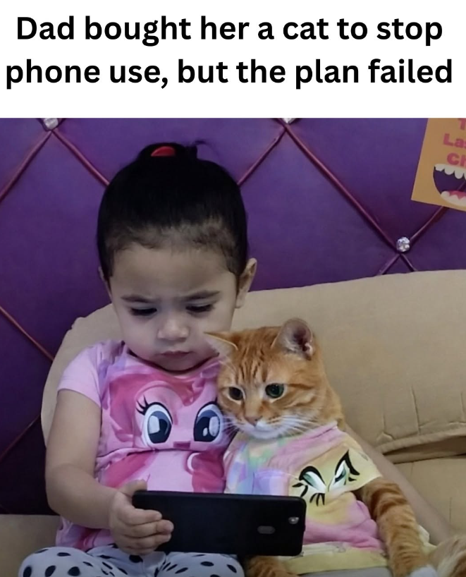 Dad bought her a cat to stop phone use, but the plan failed Las C 4