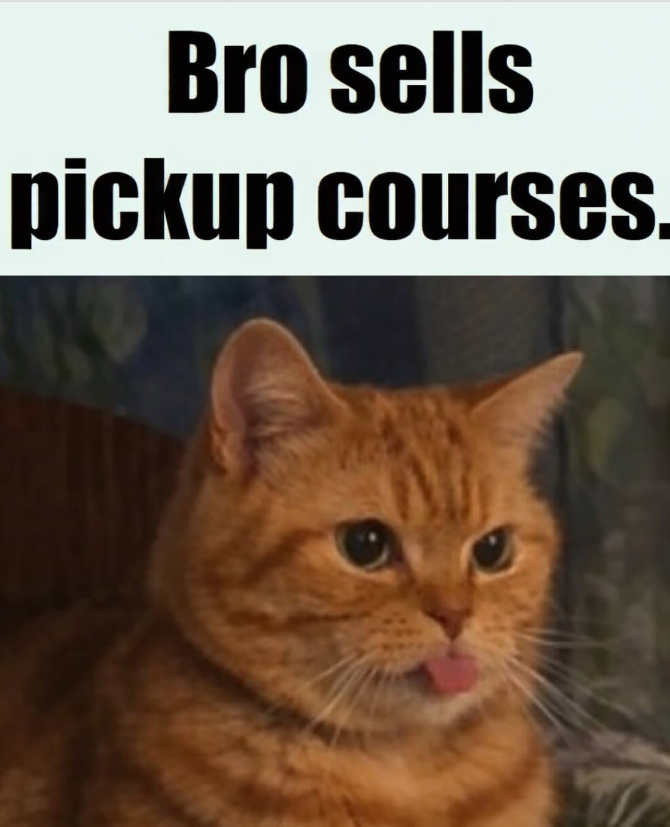 Bro sells pickup courses.