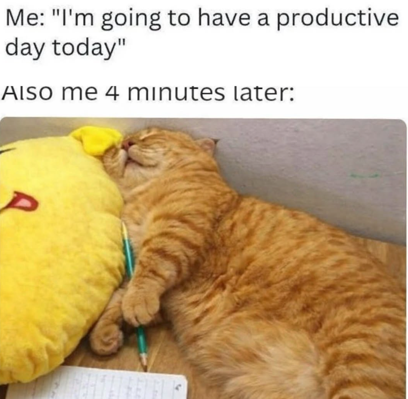 Me: "I'm going to have a productive day today" Also me 4 minutes later: