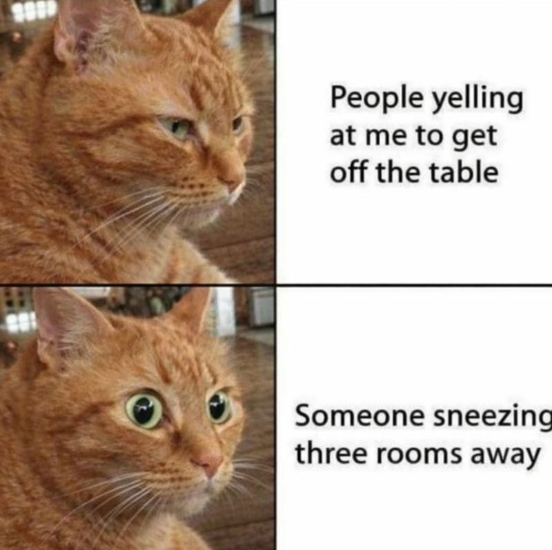 People yelling at me to get off the table Someone sneezing three rooms away