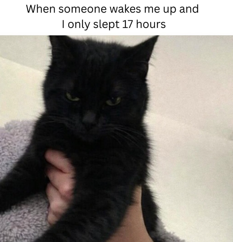When someone wakes me up and I only slept 17 hours
