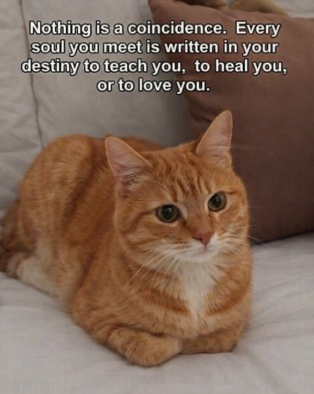 Nothing is a coincidence. Every soul you meet is written in your destiny to teach you, to heal you, or to love you.