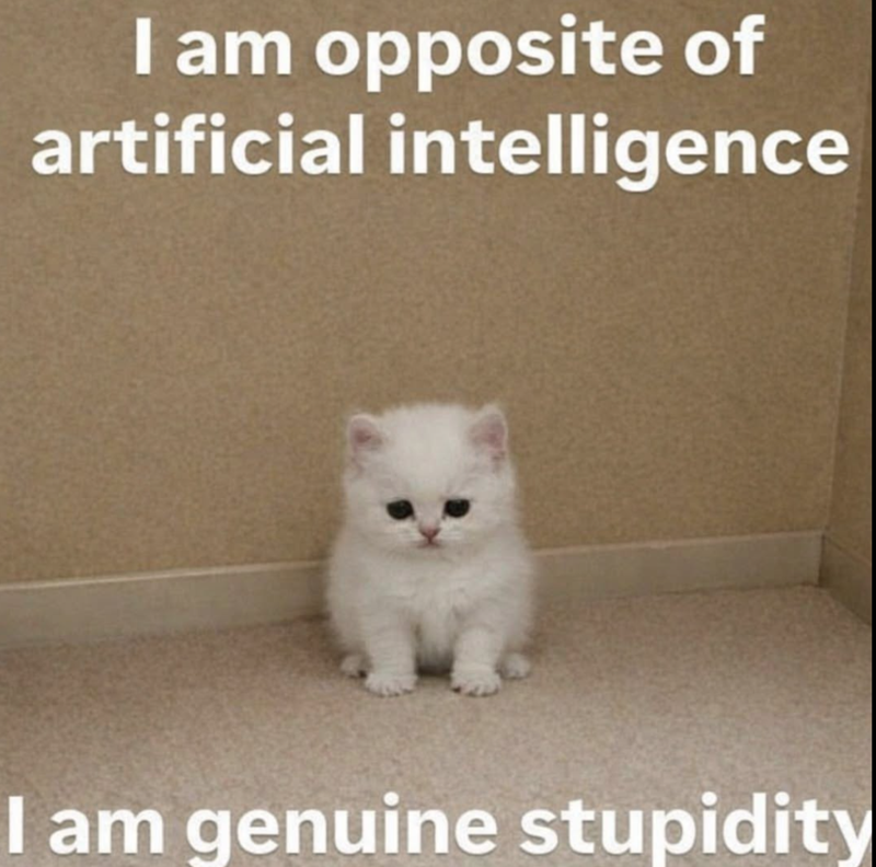 I am opposite of artificial intelligence I am genuine stupidity