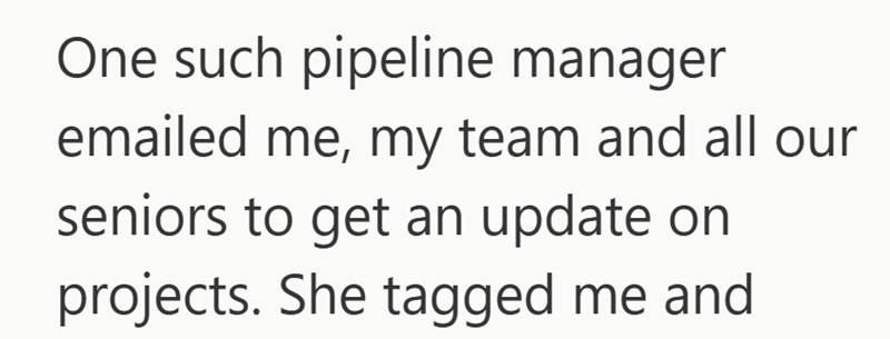 One such pipeline manager emailed me, my team and all our seniors to get an update on projects. She tagged me and