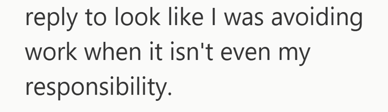 reply to look like I was avoiding work when it isn't even my responsibility.