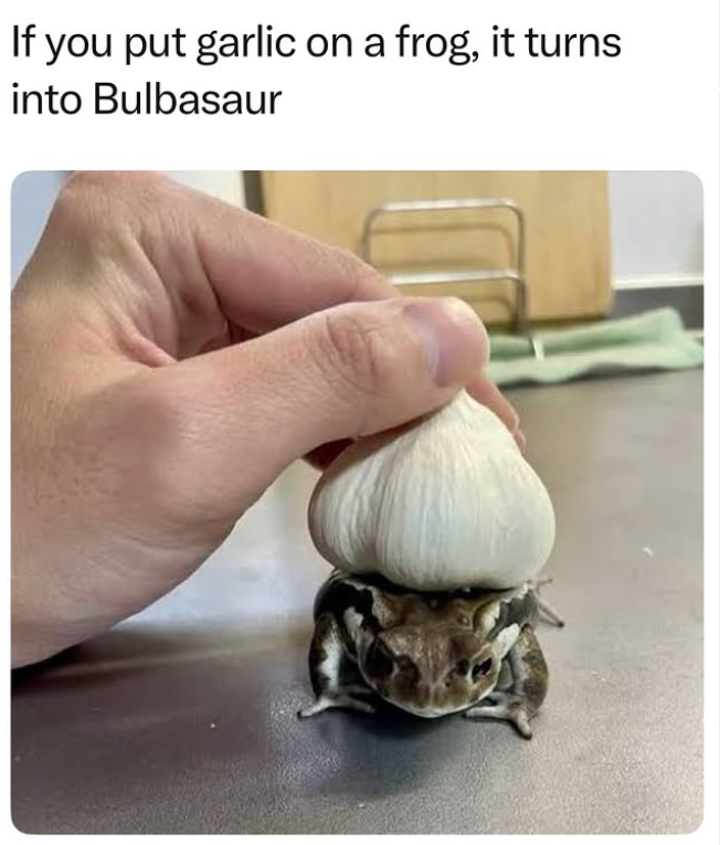 If you put garlic on a frog, it turns into Bulbasaur
