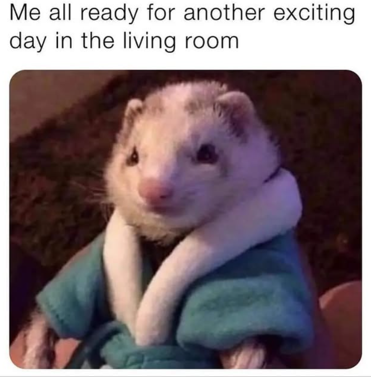 Me all ready for another exciting day in the living room