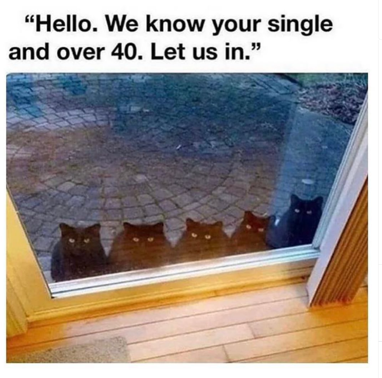"Hello. We know your single and over 40. Let us in."