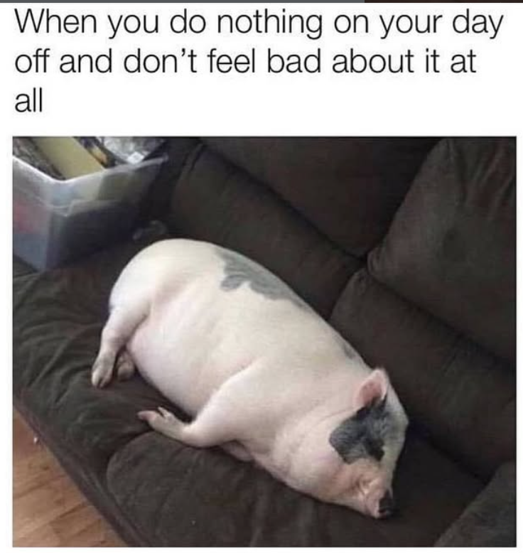 When you do nothing on your day off and don't feel bad about it at all