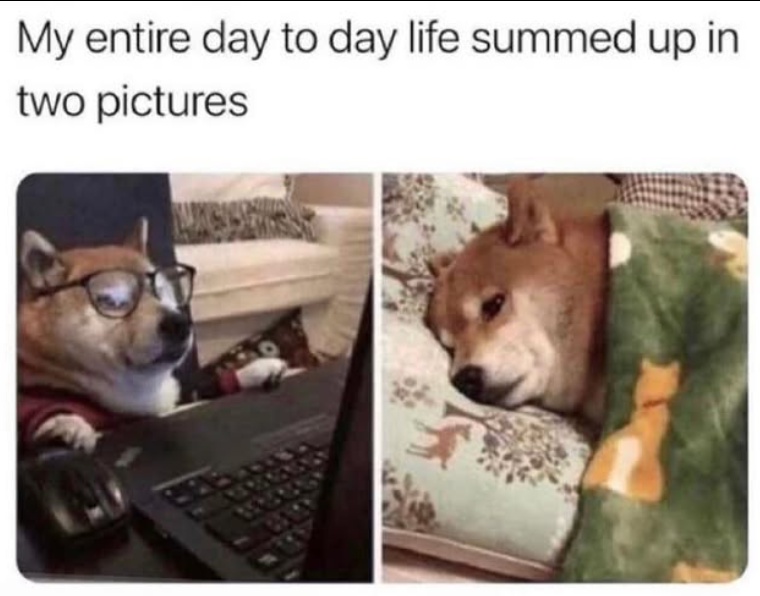 My entire day to day life summed up in two pictures