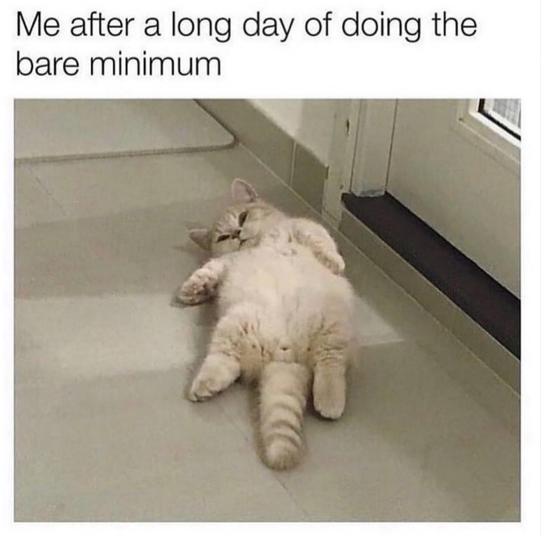 Me after a long day of doing the bare minimum