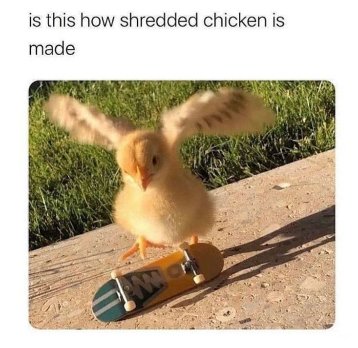 is this how shredded chicken is made