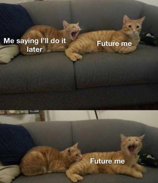 Me saying I'll do it later Future me Future me