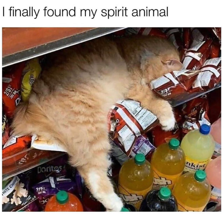 HITE CHEDG 2/$1 D I finally found my spirit animal Doritos 213 527 play 200 215 nkist MONADE