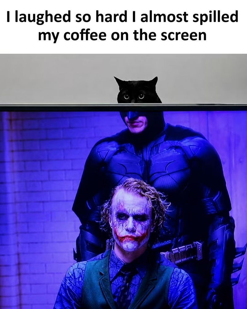 I laughed so hard I almost spilled my coffee on the screen