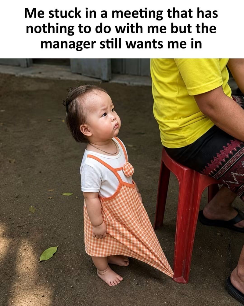 Me stuck in a meeting that has nothing to do with me but the manager still wants me in wwwwwwww