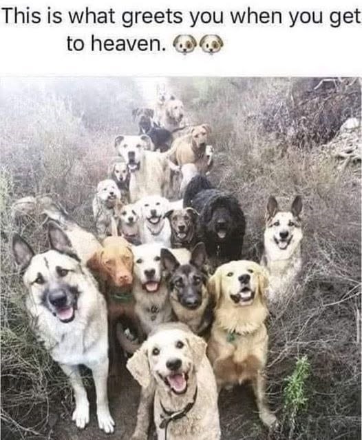 This is what greets you when you get to heaven.