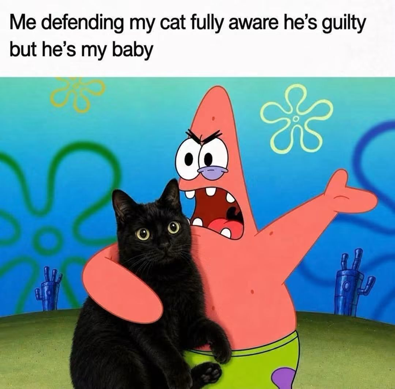 Me defending my cat fully aware he's guilty but he's my baby *