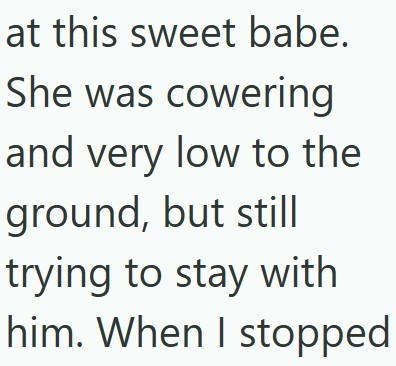 at this sweet babe. She was cowering and very low to the ground, but still trying to stay with him. When I stopped