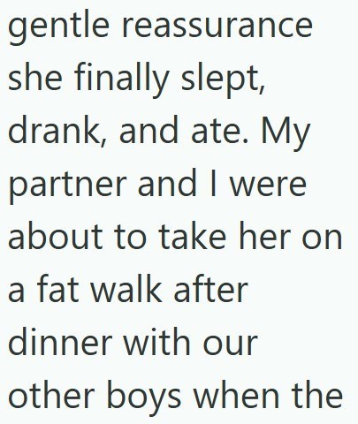 gentle reassurance she finally slept, drank, and ate. My partner and I were about to take her on a fat walk after dinner with our other boys when the