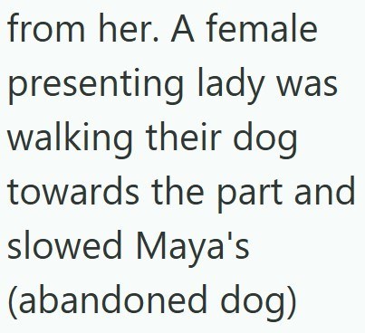 from her. A female presenting lady was walking their dog towards the part and slowed Maya's (abandoned dog)