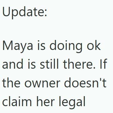 Update: Maya is doing ok and is still there. If the owner doesn't claim her legal