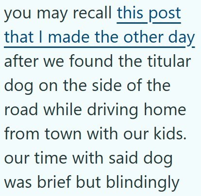 you may recall this post that I made the other day after we found the titular dog on the side of the road while driving home from town with our kids. our time with said dog was brief but blindingly