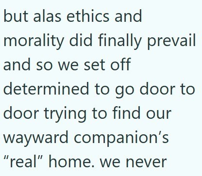 but alas ethics and morality did finally prevail and so we set off determined to go door to door trying to find our wayward companion's "real" home. we never