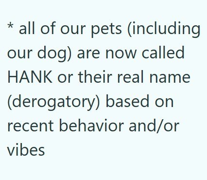 * all of our pets (including our dog) are now called HANK or their real name (derogatory) based on recent behavior and/or vibes