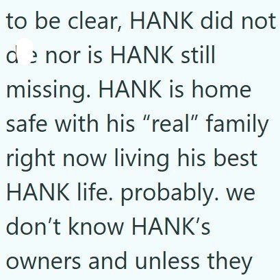to be clear, HANK did not de nor is HANK still missing. HANK is home safe with his "real" family right now living his best HANK life. probably. we don't know HANK'S owners and unless they