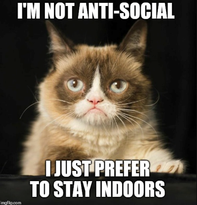 I'M NOT ANTI-SOCIAL imgflip.com I JUST PREFER TO STAY INDOORS