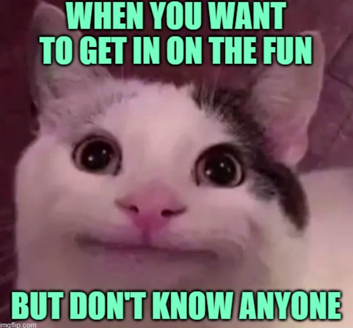 WHEN YOU WANT TO GET IN ON THE FUN BUT DON'T KNOW ANYONE imgflip.com
