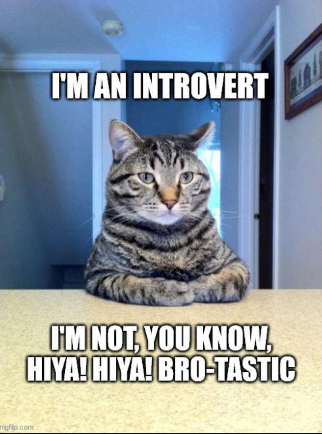 mgflip.com I'M AN INTROVERT I'M NOT, YOU KNOW, HIYA! HIYA! BRO-TASTIC