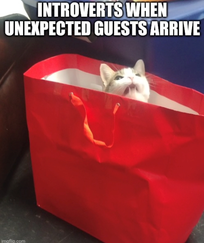 INTROVERTS WHEN UNEXPECTED GUESTS ARRIVE imgflip.com