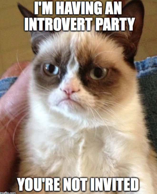 I'M HAVING AN INTROVERT PARTY YOU'RE NOT INVITED imaflip.com