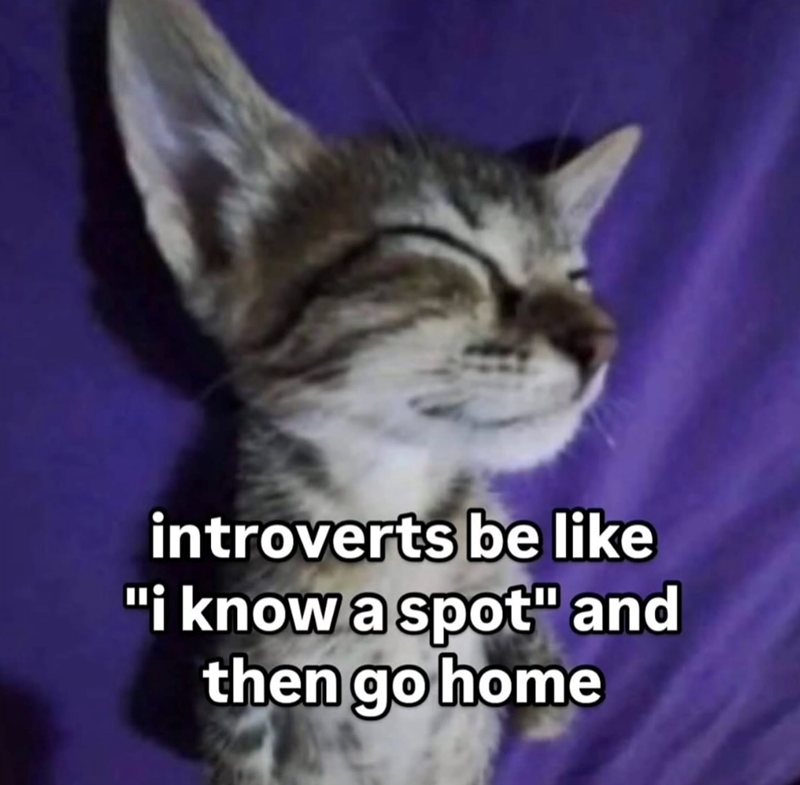 introverts be like "i know a spot" and then go home