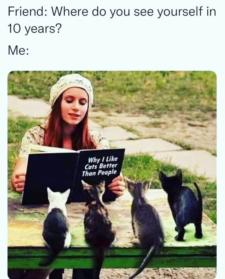 Friend: Where do you see yourself in 10 years? Me: Why I Like Cats Better Than People