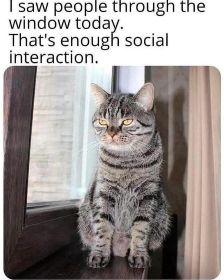 I saw people through the window today. That's enough social interaction.