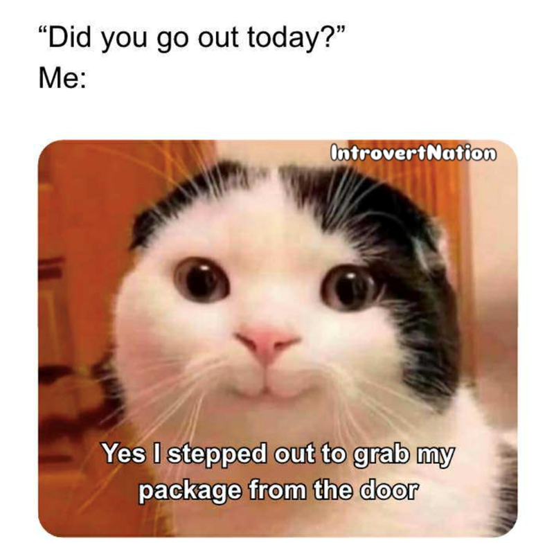 "Did you go out today?" Me: IntrovertNation Yes I stepped out to grab my package from the door