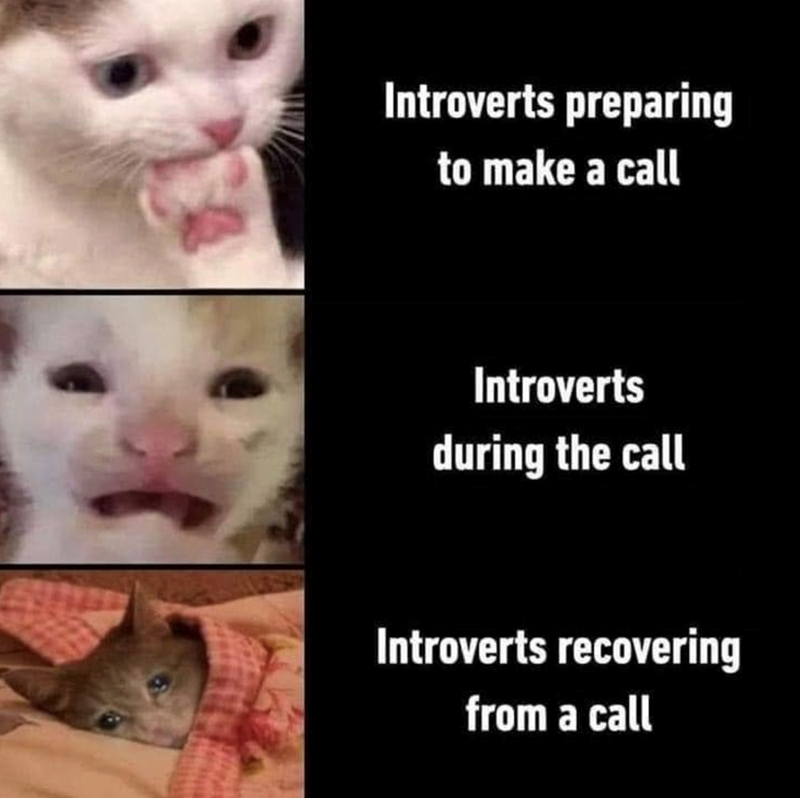 Introverts preparing to make a call Introverts during the call Introverts recovering from a call