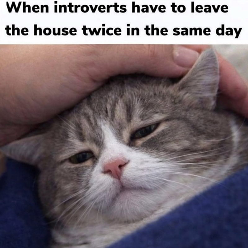 When introverts have to leave the house twice in the same day