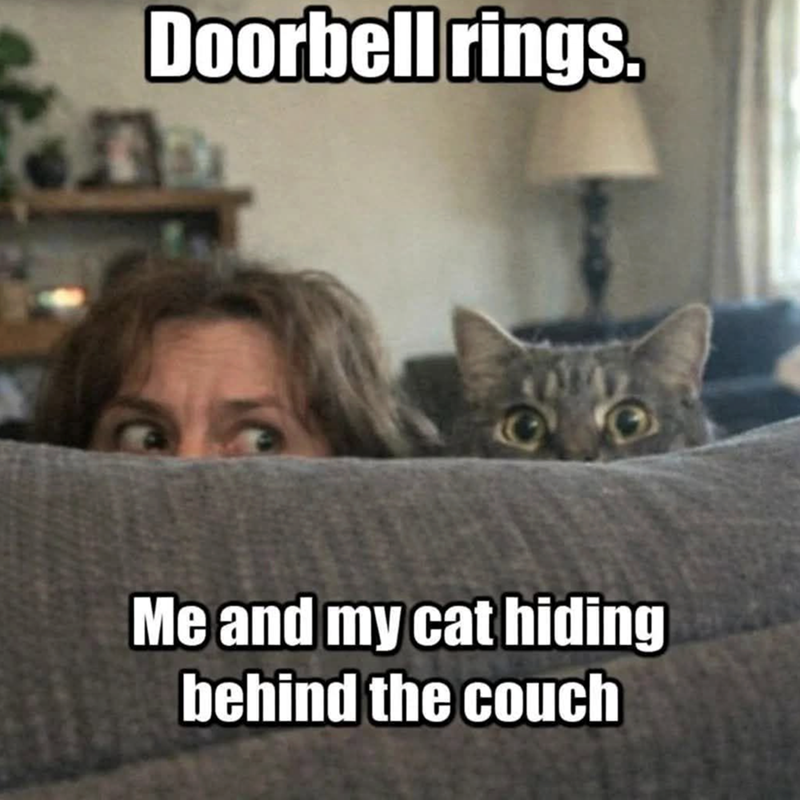 Doorbell rings. Me and my cat hiding behind the couch
